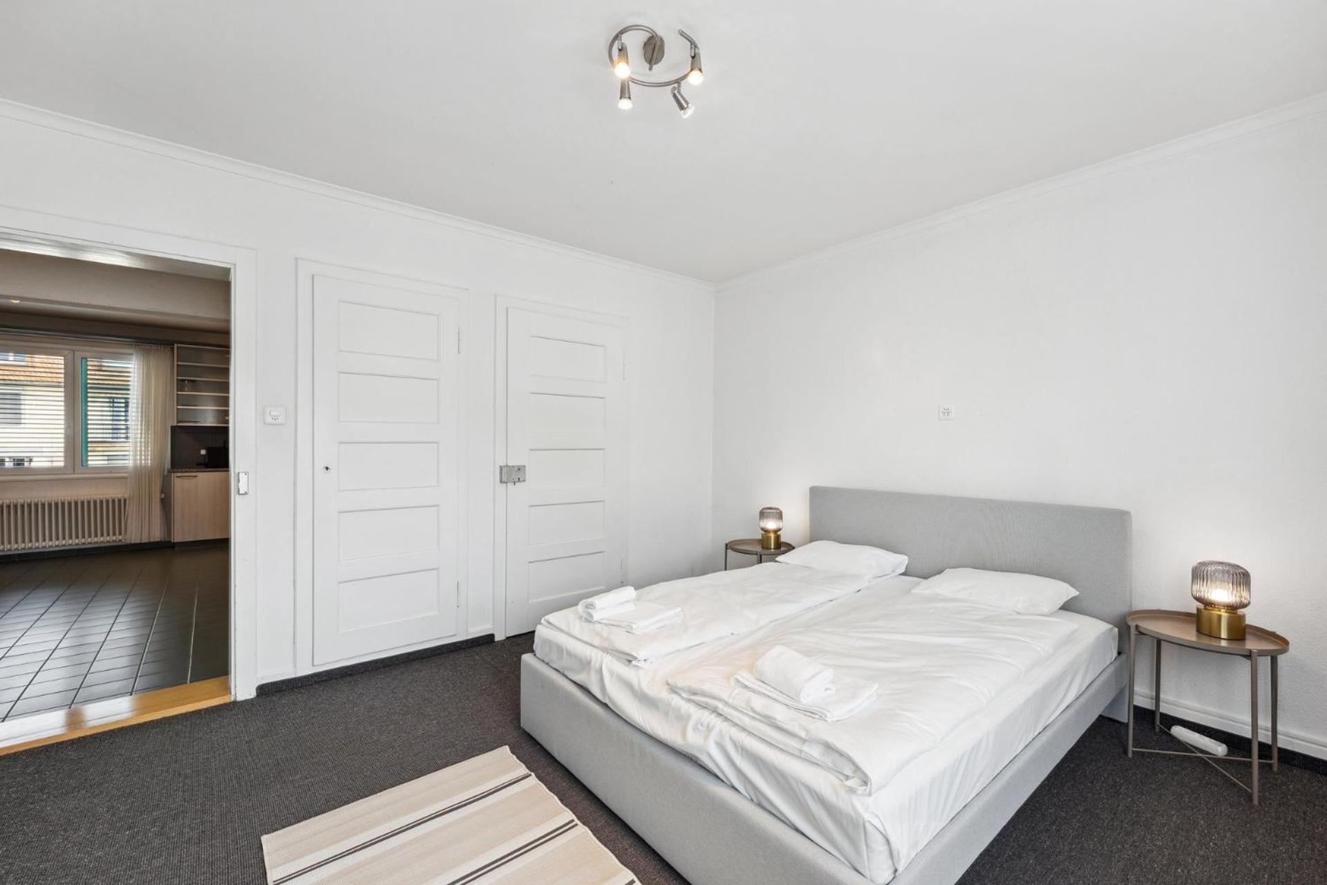 Comfortable Stay In Oerlikon 20 Minutes Away From Zurich Airport מראה חיצוני תמונה