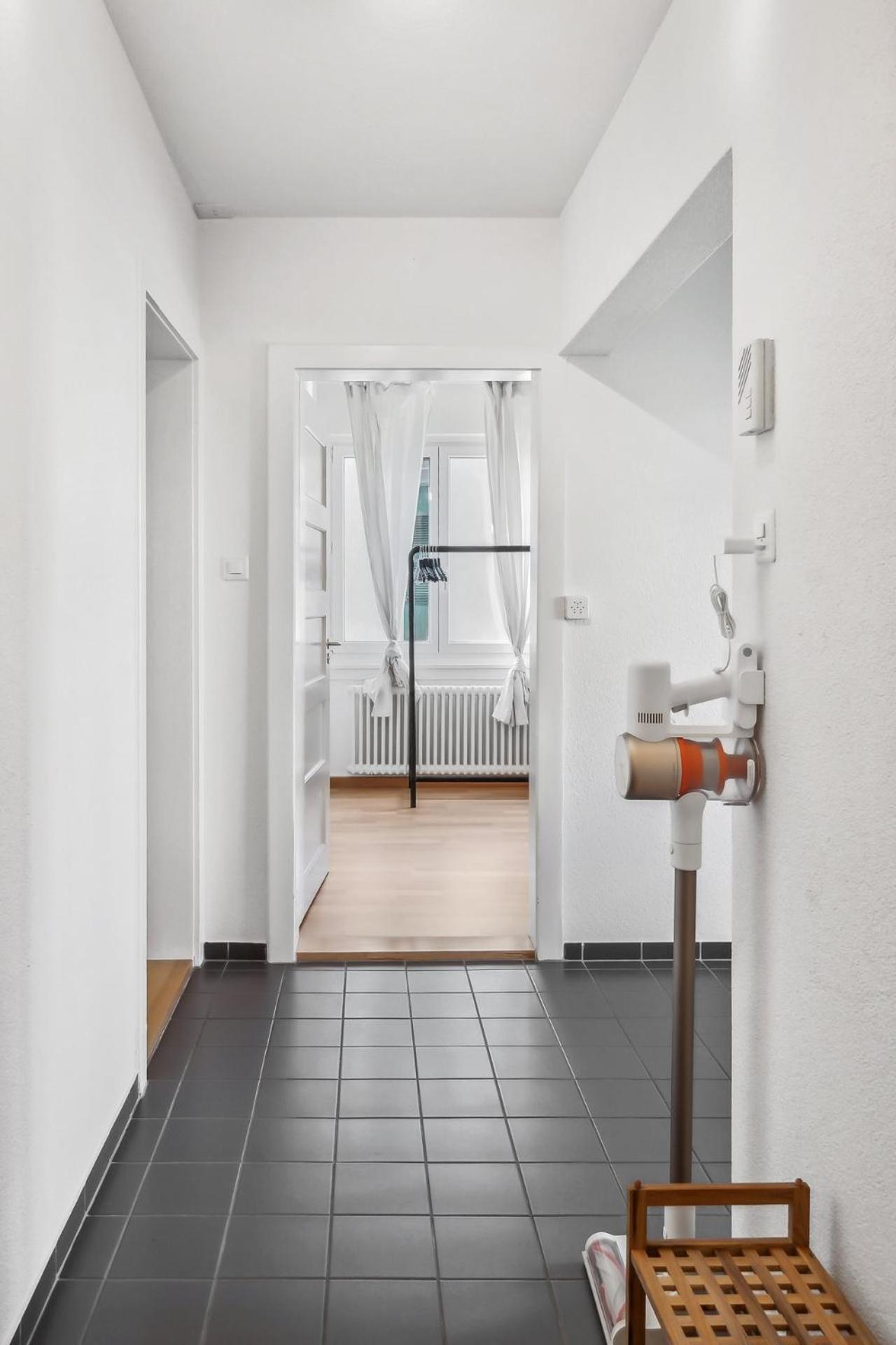 Comfortable Stay In Oerlikon 20 Minutes Away From Zurich Airport מראה חיצוני תמונה